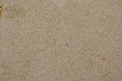 Mármol Crema Marfil Buz+Ant 60X60x2