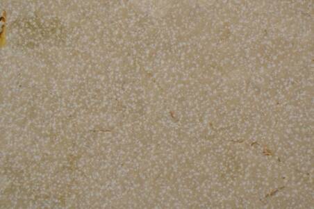 Mármol Crema Marfil Buz+Ant 60X60x2