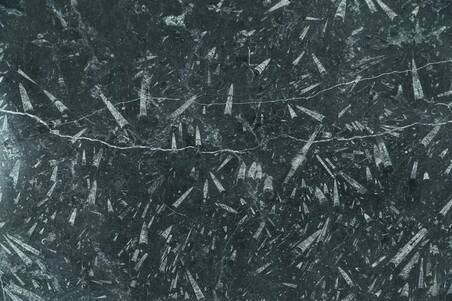 Mármol Negro Fossil Leather Finished Lámina