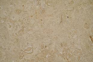 Cantera Conchuela Avejentada 30.5Xllx1