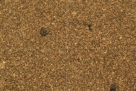Granito Carioca Gold 30.5X30.5X1