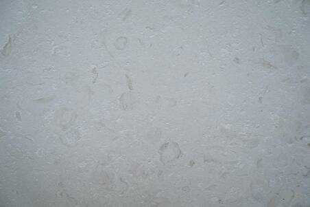 Caliza Shell Reef Envejecido Lámina