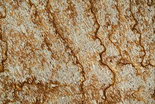 Granito Tropical Vermiz Lámina