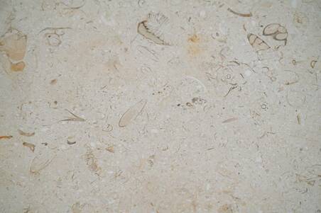 Mármol Marfil Sinai Honed 40.6X40.6X1.2