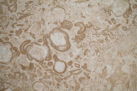 Mármol Ivory Spazz 40.6X40.6