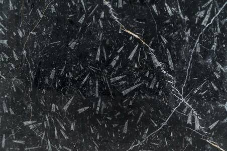 Mármol Negro Fossil Lámina