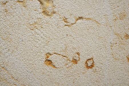 Mármol Dorado Tepeji Buz 40X60x2