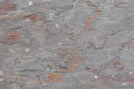 Pizarra Multicolor Peacock 20X30 Prom.