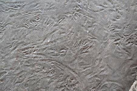 Mármol Santo Tomas Avejentado Lámina