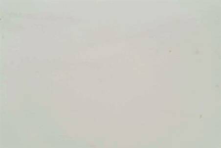 Mármol Blanco Thassos Lámina Extra Selec