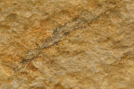 Cuarcita Morayma 60X60