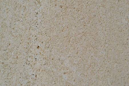 Cantera Niwala Fosil Apomazada Lámina