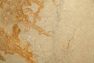 Mármol Royal Beta Dorado Lámina