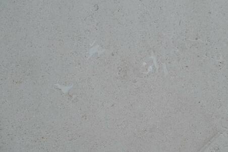 Caliza Almeria 60X601.7