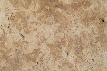 Cantera Conchuela Fossil 30.5X30.5X2 S/E