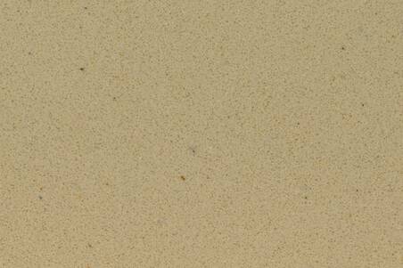 Limestone Champagne Lámina S/E