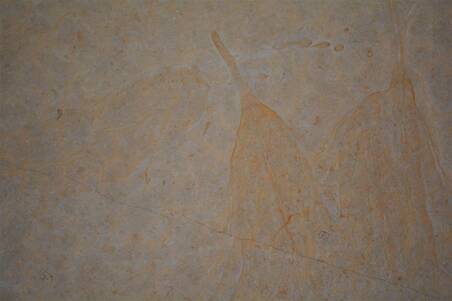 Mármol Dorado Tepeji Spazzolatto 61X61x1