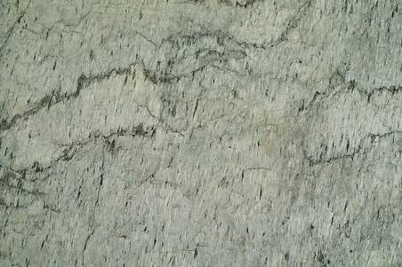 Quarzita Silver Shine Cal 40X40