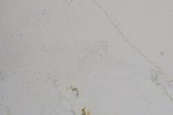 Mármol Blanco Perlino Spazzolato 30.5X30.5