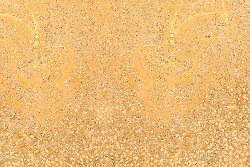 Mármol Travertino Ajacuba Honed 61X61x1