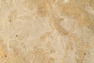 Mármol Cafe Tabaco P/B 61X61x1