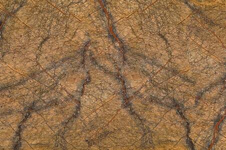 Mármol Forest Gold Lámina