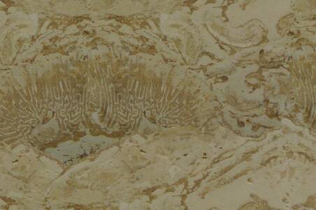 Piedra Coralina 40.6X40.6X2 S/E