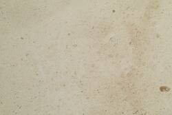 Limestone Crema Europa Pulido 45.7X45.7 S/E