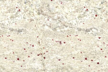 Granito Blanco Romano Extra 30.5X30.5