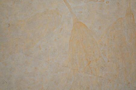 Mármol Dorado Tepeji Spazzolato 40X40x1.5