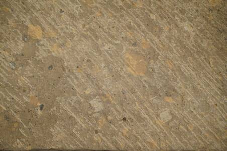 Adoquin Natural Cafe 20X40