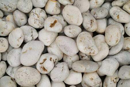 Piedra Bola Blanca De Mar Mediana