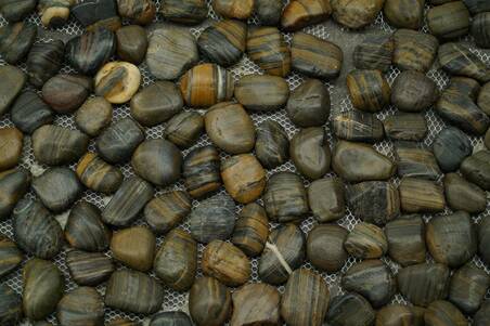 Tapete Piedra Tiger Eye Pebble 30.5X30.5