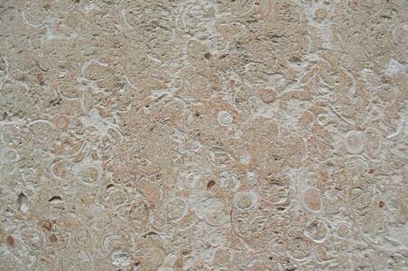 Cantera Conchuela Lam. 61X61x2