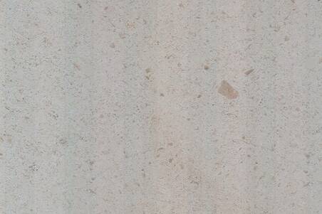 Limestone Crema Europa Pulido Fossil Lamina