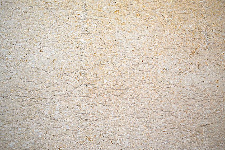 Marmol Giallo Cleopatra C/Veta 60X60x1.5