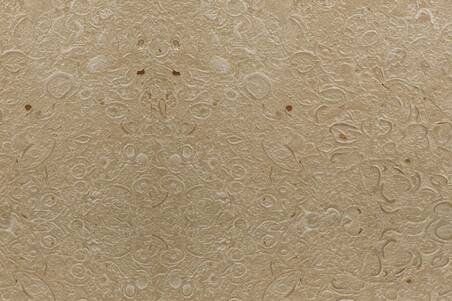 Cantera Conchuela Apomazada Lamina