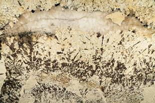 Granito Patagonia Lamina