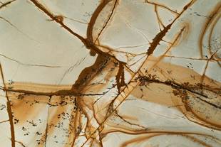 Quartzita Abrolius Green Lamina