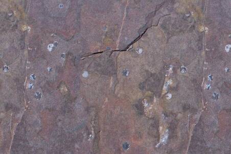 Pizarra Multisel. Pink 40X40