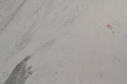 Mármol Blanco Thassos Pigon Cls 60X60x2