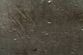 Granito Cygnus Lamina