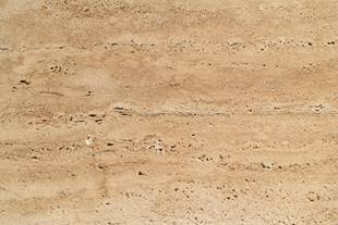 Travertino Navona Spazzolato 30.5 X Llx1