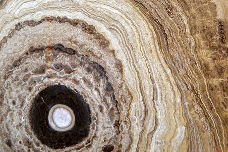 Onix Cafe Arcadia Nacional Lámina