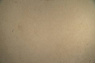 Caliza Shell Reef Apomazado Lamina