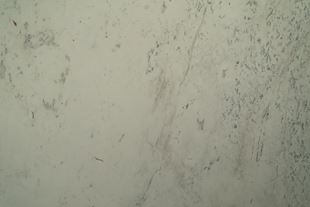 Marmol Blanco Thassos Selene Lamina