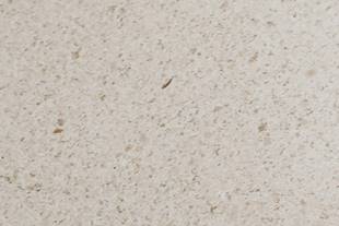 Limestone Eurogema Pulida Lámina