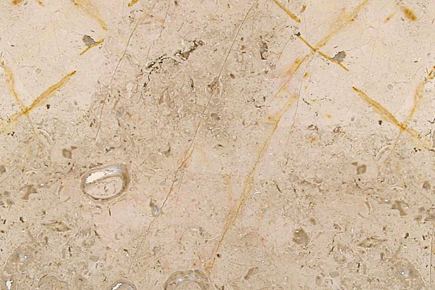 Mármol Nuevo Maya 30.5X30.5